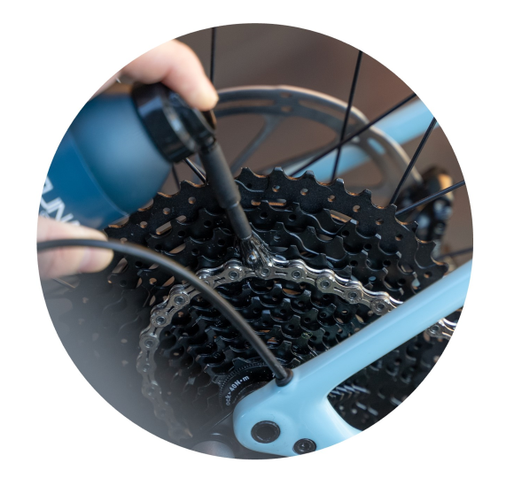 Stammdaten Stammdaten